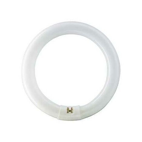 Lampada Master Tl-E Circolare 40W/840