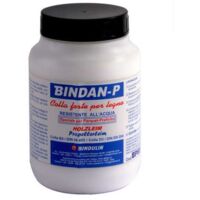 Colla Rapida Legno G 800 Professionale 80 Bindan