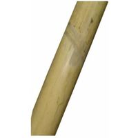 STI Canne di Bamboo 10 pz riutilizzabili per Sostegno ortaggi pomodori h.120 cm 