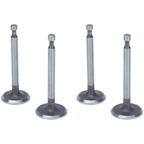 Kit valvole motore, 2 set di valvole di aspirazione in acciaio inossidabile antiruggine per motori 2KW 2.5KW 3KW 168F GX160 (1/4)