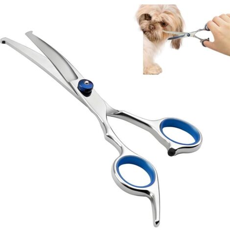 Forbici professionali in acciaio inossidabile per la toelettatura di cani e gatti, con punte arrotondate di sicurezza e lame curve, perfette per la toelettatura di viso, zampe, corpo e in generale.