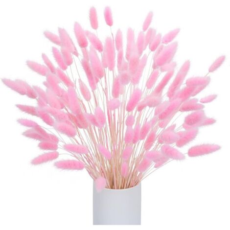 120 pezzi di erba di pampa essiccata naturale, decorazione di fiori secchi di erba di pampa, bouquet di fiori secchi per fiori da matrimonio boho e decorazione della tavola di casa (rosa) (bottiglia)