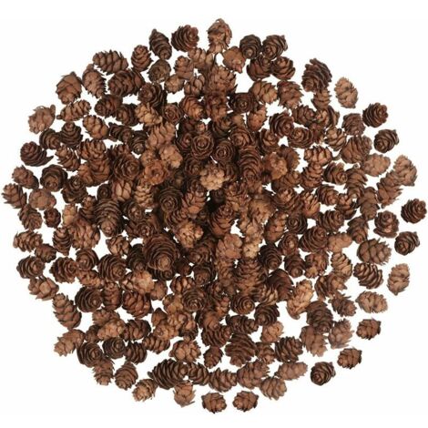 200 pezzi di pigne natalizie, mini pigne naturali, pigne del Ringraziamento, pigne natalizie, ornamenti per la casa fai da te, decorazioni autunnali e invernali per l'albero di Natale (1/4)