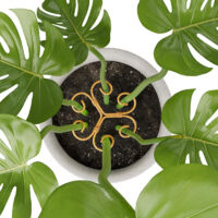 Set di 4 supporti in ferro per piante Monstera, supporti per piante da interno dal design esclusivo per favorire la crescita delle piante