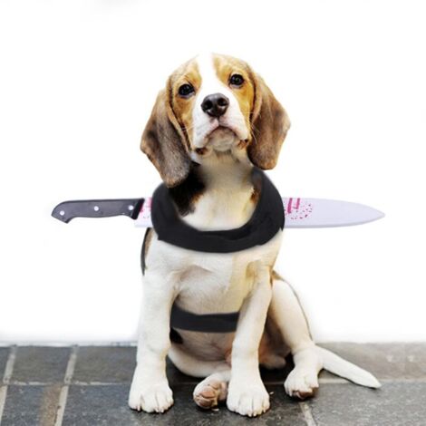 Lustiges Haustierkostüm – Magisches Aufkleber-Halloweenkostüm – Grusel-Accessoires für Hunde – Kleidung für Katzen und Hunde – Dekoratives Haustierkostüm (M)