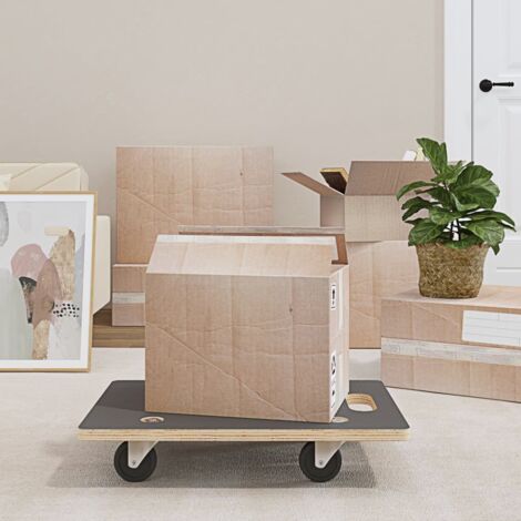 Transportroller 2 Stk. Rechteckig 60x40x11,5 cm 250 kg (1/5)