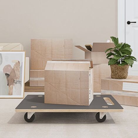 Transportroller 2 Stk. Rechteckig 80x55x11,5 cm 250 kg (1/5)