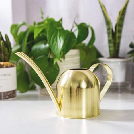 Arrosoir en acier inoxydable, petit pot d'arrosage à longue bouche pour maison, intérieur, extérieur, jardin, plantes succulentes, 500 ml (doré) (1/4)