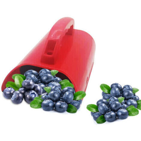 Outil Classeur Cerises - Outil De Récolte De Fruits Avec Poignée Ergonomique Et Peigne Râteau Bleuets Pour Récolte Fruits Feuilles Jardin Extérieur (1/5)