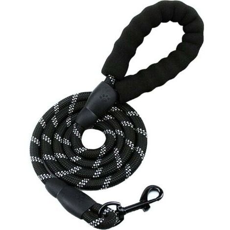 Laisse pour Chien en Nylon Réfléchissant 150 cm, Solide et Haute Qualité, Idéale pour Course, Jogging et Randonnée (1/4)