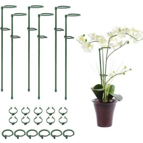 6 PCS Anneaux de Piquet de Cage à Plantes avec Boucle de Fixation pour Plantes Fleurs Orchidées Pivoines Roses, Piquet de Support de Plante Piquet de Jardin Bâton de Plante Piquet de Fleur à Tige Uniq (1/4)