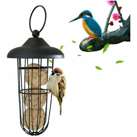 Mangeoire à Oiseaux, mangeoire à Oiseaux en métal à l'épreuve des écureuils mangeoire Suspendre Automatique Porte-Boule Graisse Outil d'alimentation (1/4)