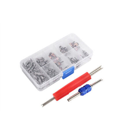 ,Assortiment de 102 pièces A/C R134a/R12, Kit d'outils pour noyaux de tige de Valve de pneu de réfrigération (1/5)