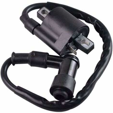 Bobine d’allumage noir Compatible avec Yamaha PW50 PY50 PEEWEE PY PW 50 Dirt Pit Bike Parts (1/4)