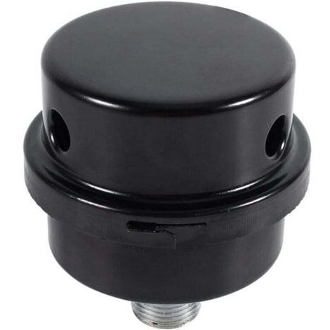 Accessoires de compresseur pneumatique,Filtre Silencieux pour Compresseur d'Air (3/8" Filetage 16mm), (1/4)