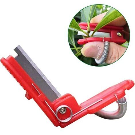 5 Pièces Outil De Cueillette De Plantes, Séparateur De Pouce De Jardin Outil De Cueillette De Récolte De Thé De Légumes pour Fruits (1/5)