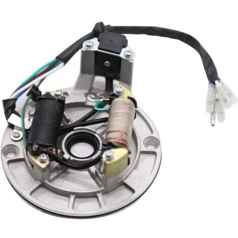2-Coil Magneto stator Remplacement pour 50 CC 70 CC 90 CC 110 CC 125 CC Kick Start ATV Dirt Bike et Go Kart (1/4)