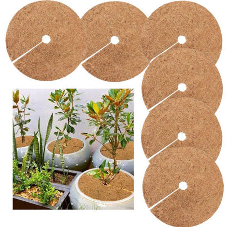 Disques de paillage biodégradables en coco – Lot de 6 pièces – 20cm de diamètre – Protection hiver pour plantes en pot (1/5)