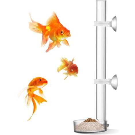 Mangeoire à crevettes en Acrylique, mangeoire à crevettes Transparente - Tube de 25 cm et Bol d'alimentation de 6,5 cm (1/5)