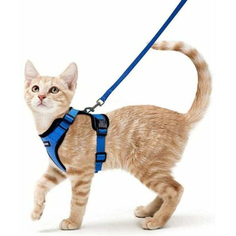 Harnais pour chat petit chien laisse réglable bleu XS collier de harnais pour chat réfléchissant débardeur respirant pour chat animaux clip supérieur avec laisse