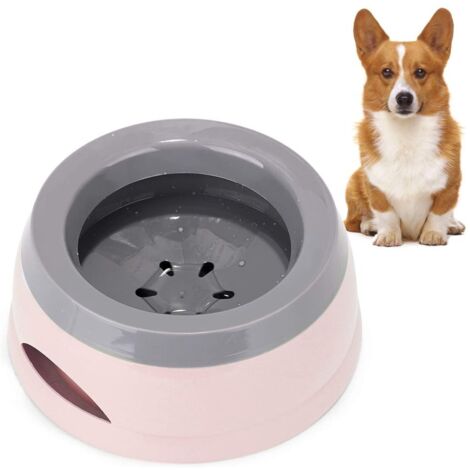 Gamelle d'eau de 750 ml pour chiens en déplacement, gamelle Qianyou anti-fuites et anti-éclaboussures pour chiens et chats, gamelle de voyage antidérapante en voiture, gamelle d'eau portable en plasti (1/5)