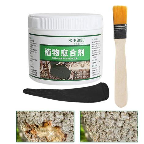 Wundverschluss Baum 500g, Baumpflege Wundbalsam mit Pinsel, Baumschutz Paste für Schnittstellen,Schwarz (1/5)