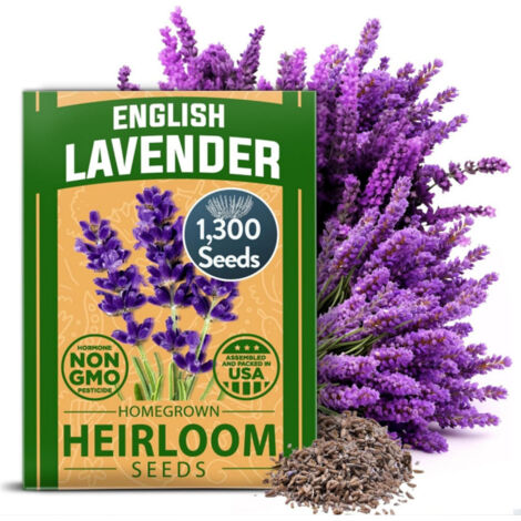 2600 Lavendelsamen – Bunte Sorte für Garten, Töpfe und Beete – Einfach zu pflanzen, zieht Bienen und Schmetterlinge an