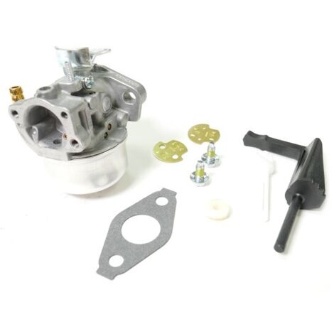 Carburateur moteur Briggs et Stratton 190cc (1/5)