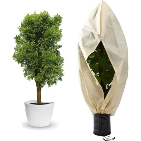 Winter plant cover 180x120 cm, non-woven, frost protection for pots and roses (1/5)