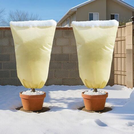Non-woven winter plant cover 140 g/m² 250x360 cm, frost protection for palm and olive trees (1/5)