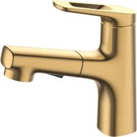 Modern brass bathroom faucet, single-handle mixer tap with pull-out sprayer