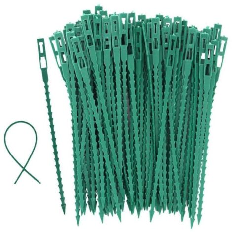 100 tuteurs à tomates, arbres et attaches de jardin - Attaches en plastique réutilisables pour le jardinage, vertes (1/3)