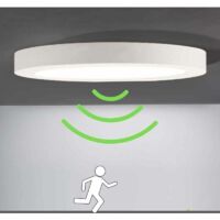 Plafonnier LED Panel Rond Lampes de Plafond Moderne Ultra-mince LED Lampe Blanc Froid 6000K Facile à installer Applicable à Salle de Cuisine Salon Balcon