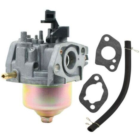 Carburateur Moteur Tondeuse Gazon avec Bougie Allumage et Tuyau Carburant Pièces Rechange (1/4)