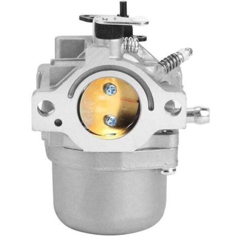Carburateur de Remplacement pour Moteur Briggs Stratton 12HP 12.5HP Modèles 799728 498027