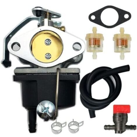 Compatible con generador carburado Coleman Powermate 6875 con motor Tecumseh de 11 HP (1/4)