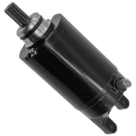 Démarreur T1311112 – Compatible TRIUMPH Tiger 800 / 800XC (1/4)