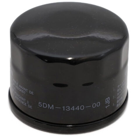 Le filtre à huile 5DM-13440-00-00 convient pour remplacer les filtres à huile des motos Yamaha YFM660R. (1/4)