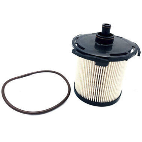 1930091 1727201 Cc11-9160-Aa Filtre à gazole Filtre à essence (1/4)