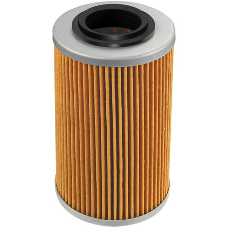 Le filtre à huile HF-556 420956741 convient aux Sea-Doo GTI, GTX, RXP et Wake RXT. (1/4)