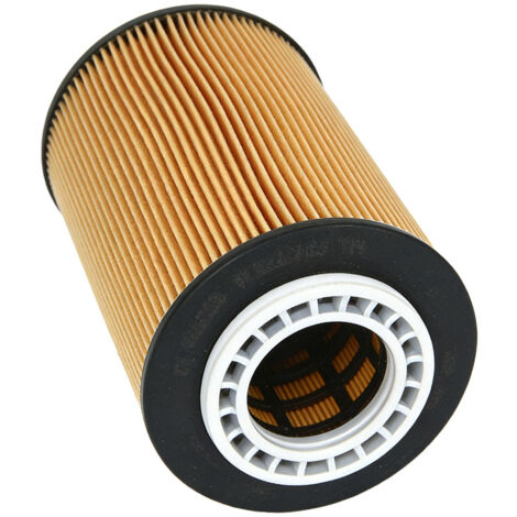 51055010013 51055010019 P551088 Élément de filtre à huile adapté aux camions TGS/TGX (1/4)