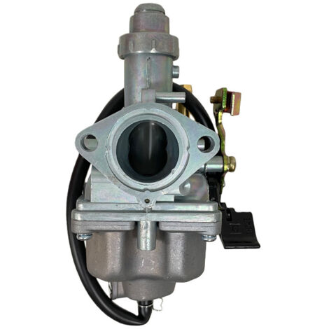 Carburateur de moto 16100-HN6-003 compatible avec Honda TRX250EX Sportrax 250 (1/4)