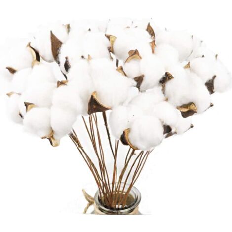 Fleurs De Coton - 20 Pièces - Naturel Et Artificiel - Tiges Pliables 42cm - Décoration Maison Mariage (1/5)
