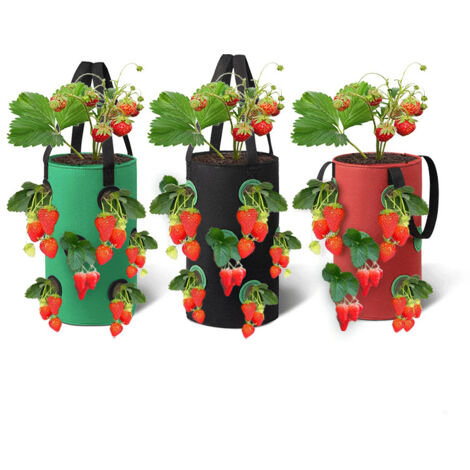 Un ensemble de 3 sacs de plantation suspendus, sacs de plantation respirants avec 12 trous, adaptés aux fraises, aux herbes, aux fleurs et aux légumes, 20cm35cm (rouge, noir, vert). (1/5)