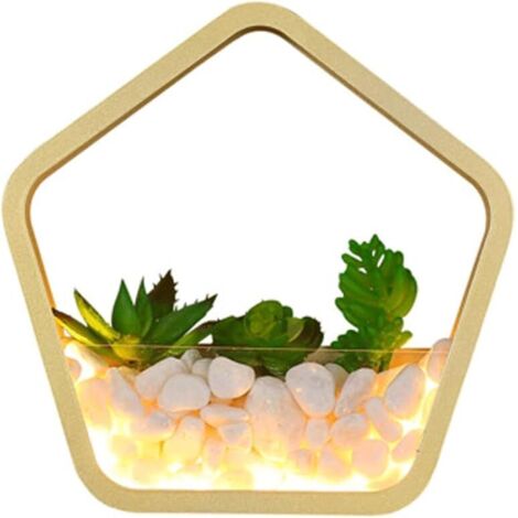 Lampe murale à LED à lumière chaude et succulente, Pentagone, applique murale moderne minimaliste en métal doré avec abat-jour en acrylique, applique murale for chambre à coucher 3000K Blanc Chaud (1/4)