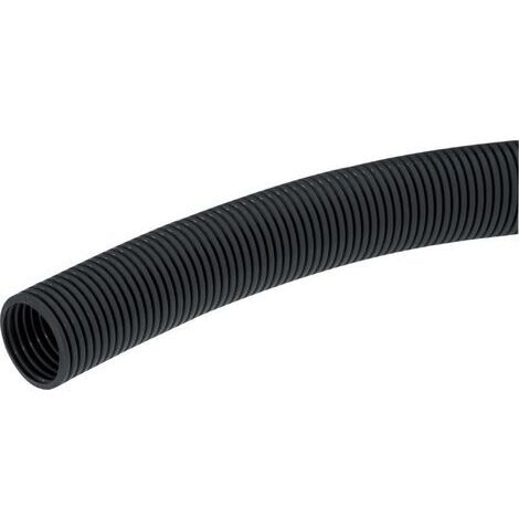 Lapp Wildschwein nourriture chien viande de sanglier 800g (1/5)