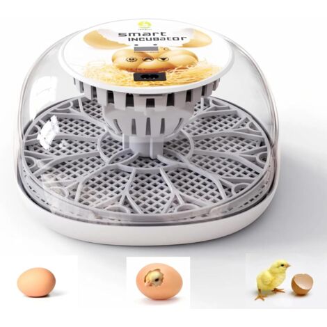 Incubateur automatique pour plusieurs œufs avec fonction de retournement, taux d'éclosion élevé, contrôle numérique de la température et vue à 360 degrés des poulets, canards, oies et oiseaux.