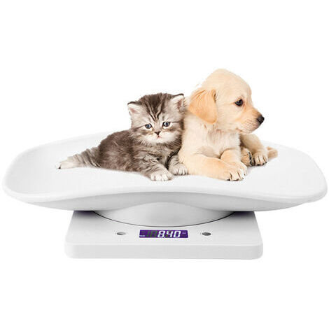 Balance Électronique pour Animaux de Compagnie, Petit Balance Numérique, 10kg/1g écran LCD Balance Précision Mesure Outil Pesage pour Cuisine Chaton Chiots Tortue Hamster (1/5)
