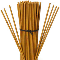 Suinga – Pack de 25 tuteurs en bambou 180 cm – Diamètre 12-14 mm – Tuteurs écologiques pour plantes et arbres – Idéal pour floriculture
