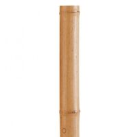 Suinga – Tuteur en bambou 180 cm – Diamètre 30/40 mm – Bois traité autoclave pour extérieur – Soutien arbres à croissance rapide